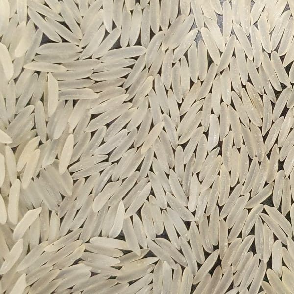Rice